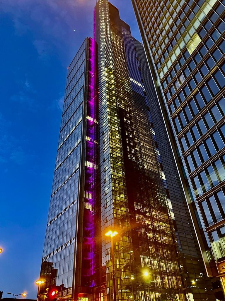 Riverside 1BR — the area